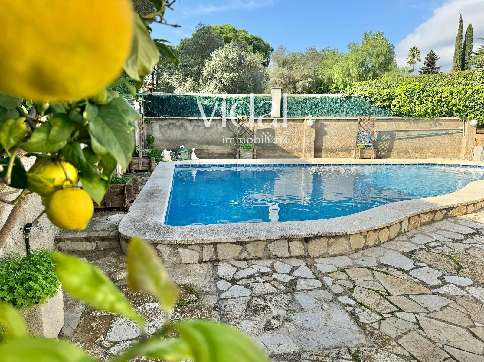 Casa o xalet en venda a Puig Ses Forques - Torre Colomina, Calonge i Sant Antoni