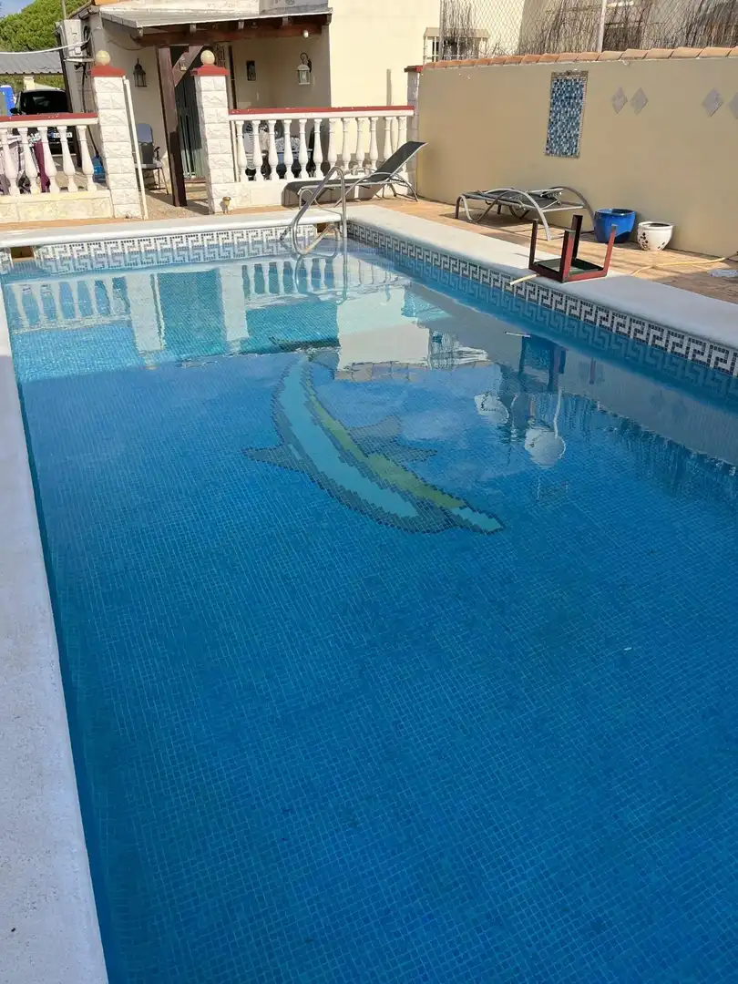Schwimmbecken von Country house zum Verkauf in Chiclana de la Frontera mit Privatgarten, Abstellraum und Schwimmbad