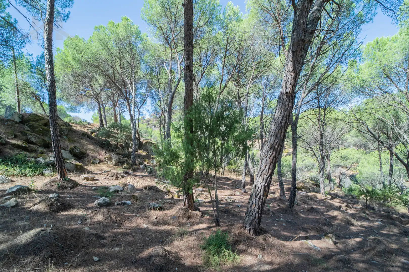 Residencial en venta en San Martín de Valdeiglesias, Madrid