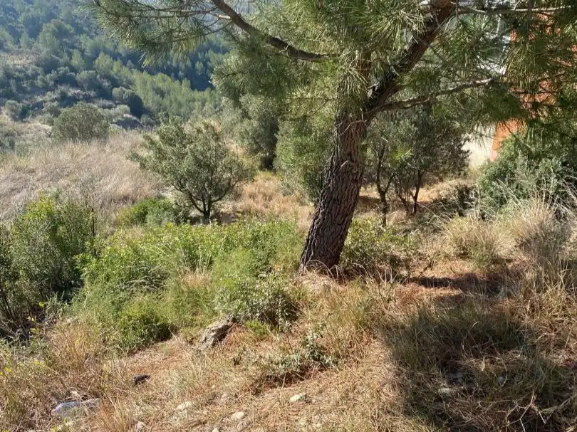 Terreny residencial en venda a Turó de Can Palet 63, imagen 9