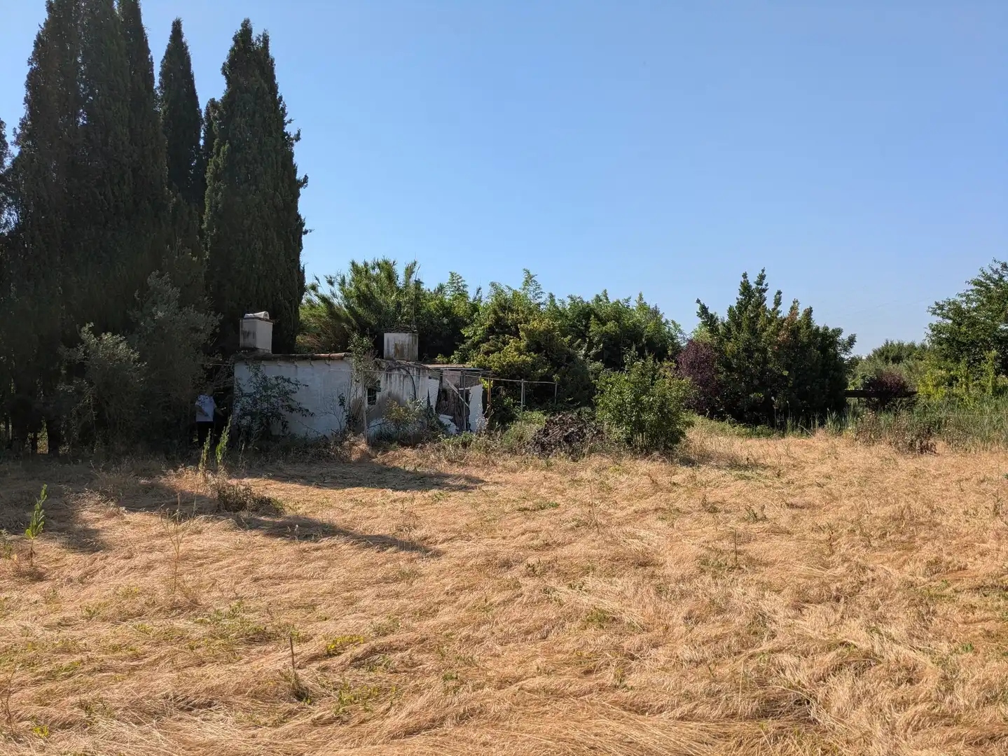 Land for sale in Castejón del Puente