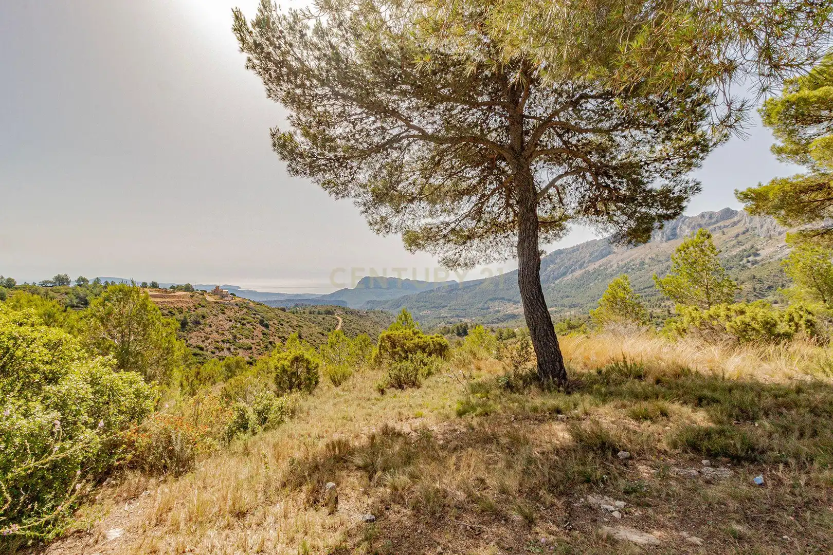 Finca rústica en venta en Xaló con Trastero y Alarma