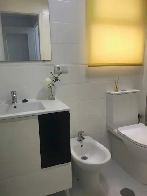 Wohnungen zur Miete in Calle San Pascual, 243, Avenida Habaneras - Curva de Palangre