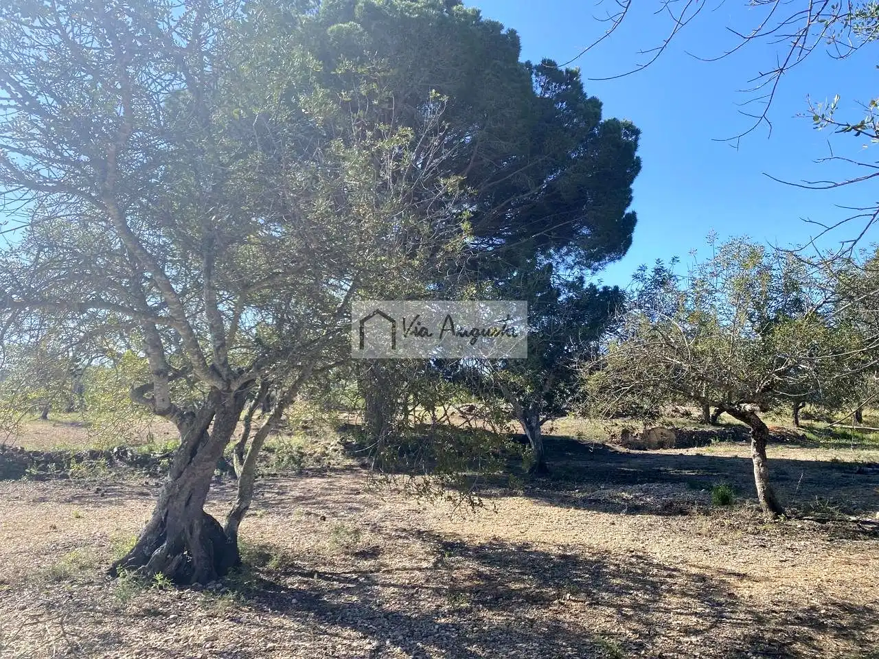Terreno rustico in vendita a Rabasada, imagen 10