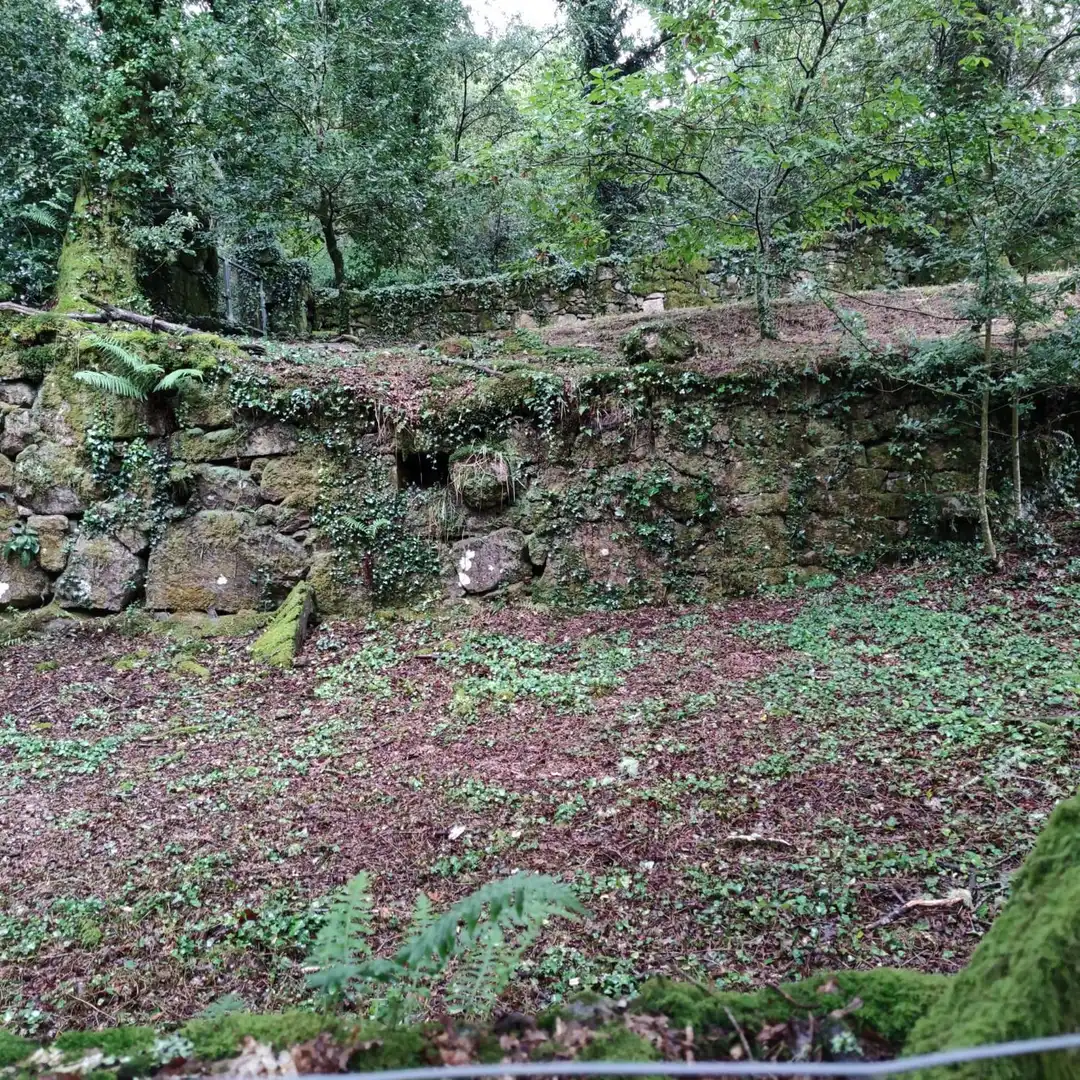 Land for sale in Cotobade
