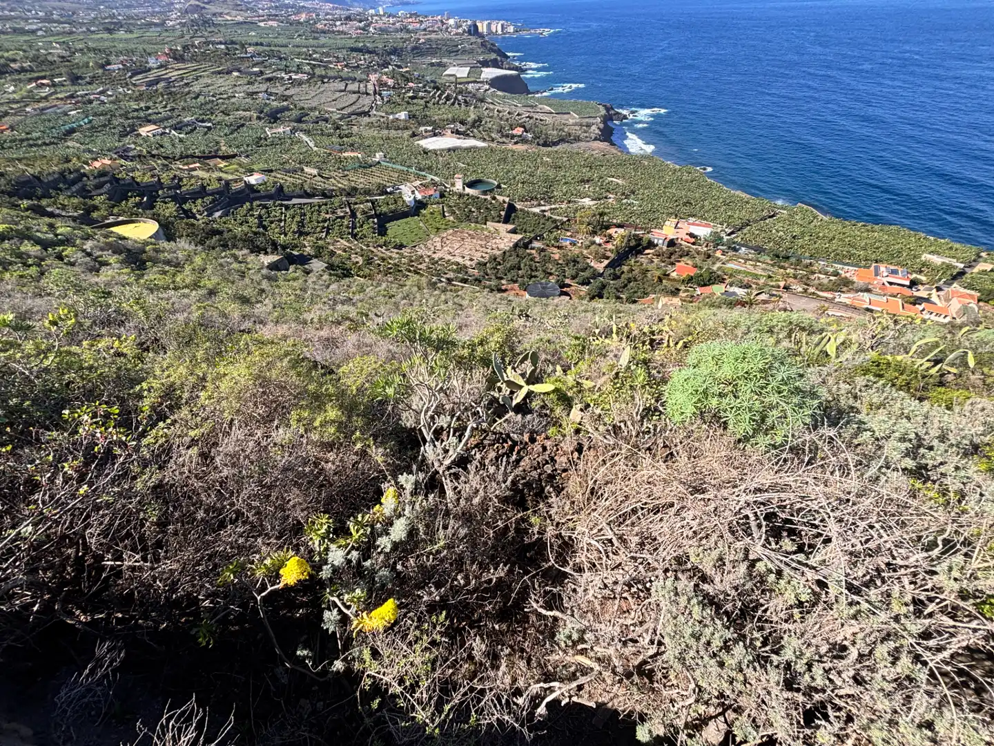 Terreno rustico in vendita a Camino de San Diego, imagen 32