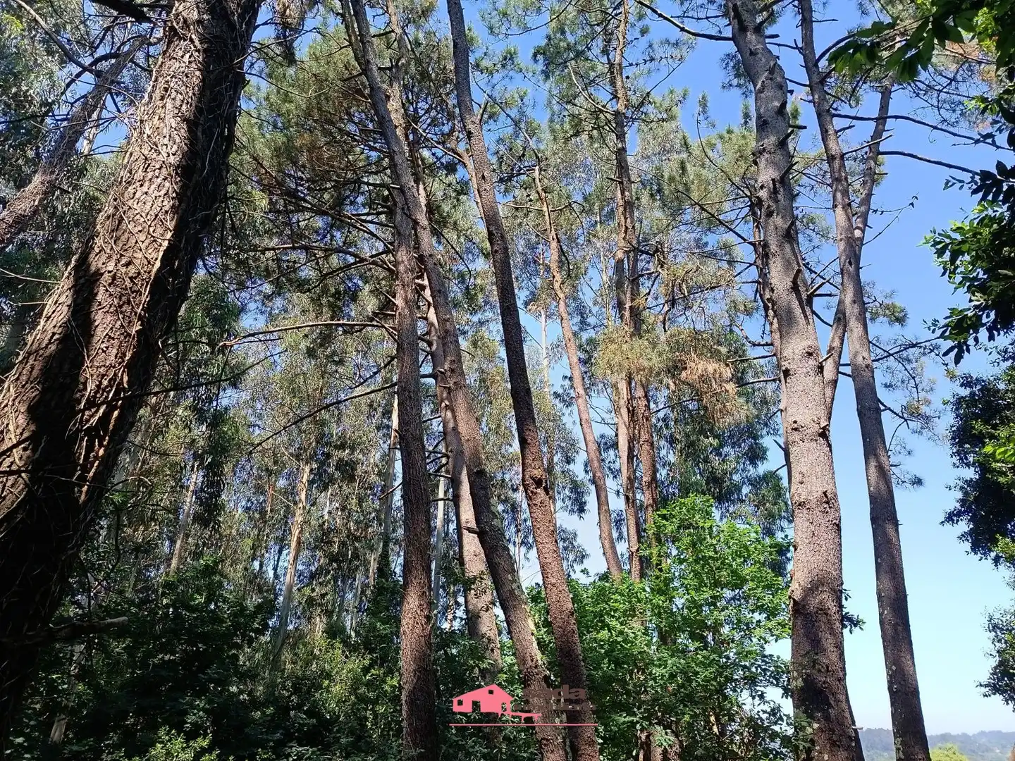 Garden of Country homes for sale in Bergondo