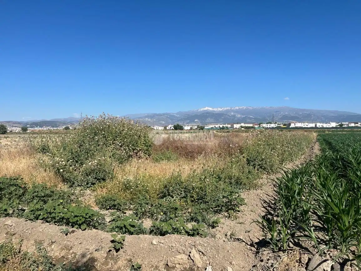 Terreni e lotti in vendita a Cúllar Vega, imagen 6
