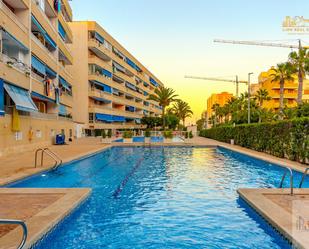 Piscina de Apartament en venda en Torrevieja amb Terrassa