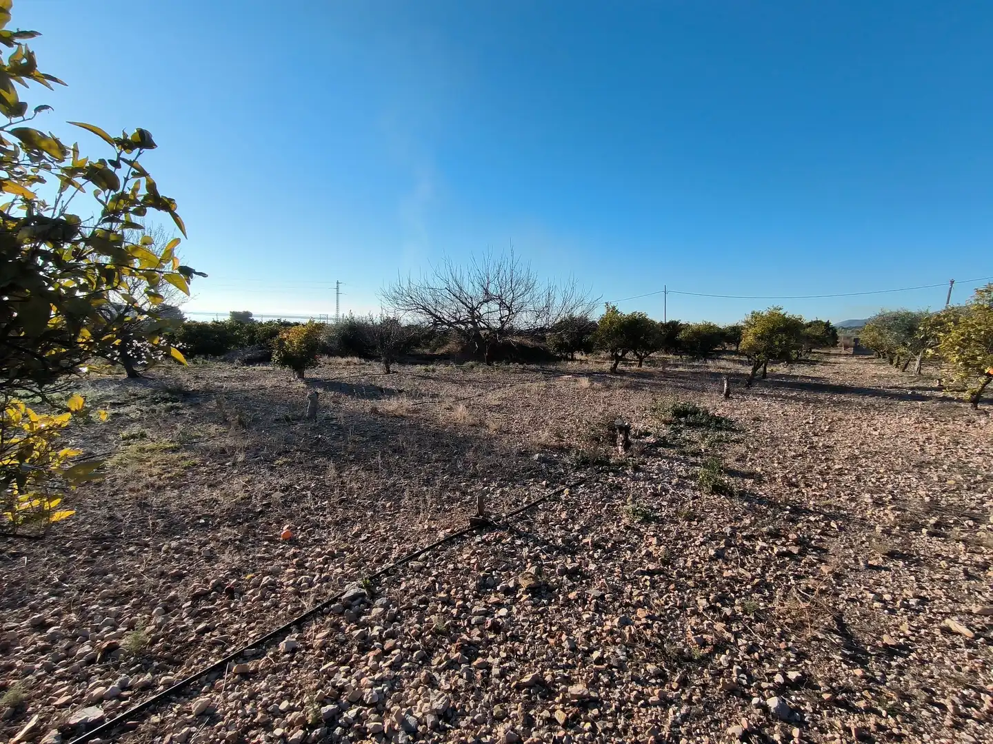 Terreno en venta en La Ràpita