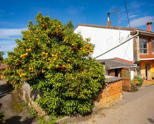 Vista exterior de Casa o xalet en venda en Val de San Vicente  amb Jardí privat
