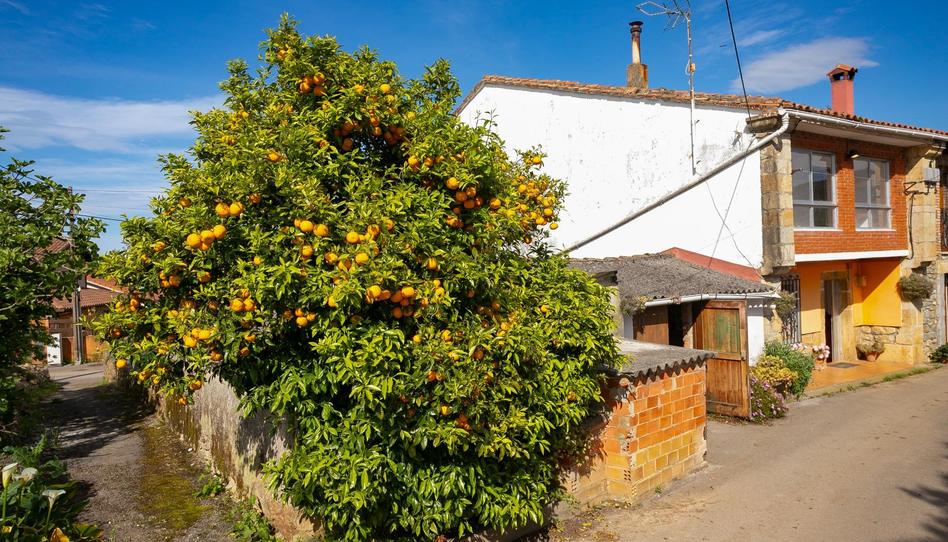 Foto 1 de Casa o chalet en venta en  Luey, Val de San Vicente , Cantabria