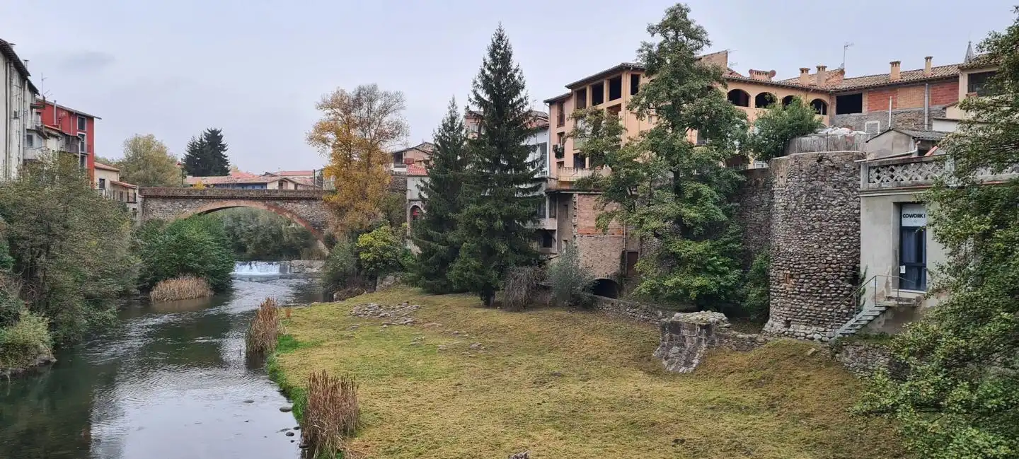 Exterior view of Buildings for sale in Ribes de Freser