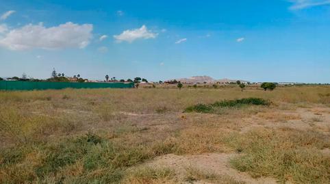 Photo 4 of Residential for sale in Ruices (los), -1, Torre-Pacheco ciudad, Murcia