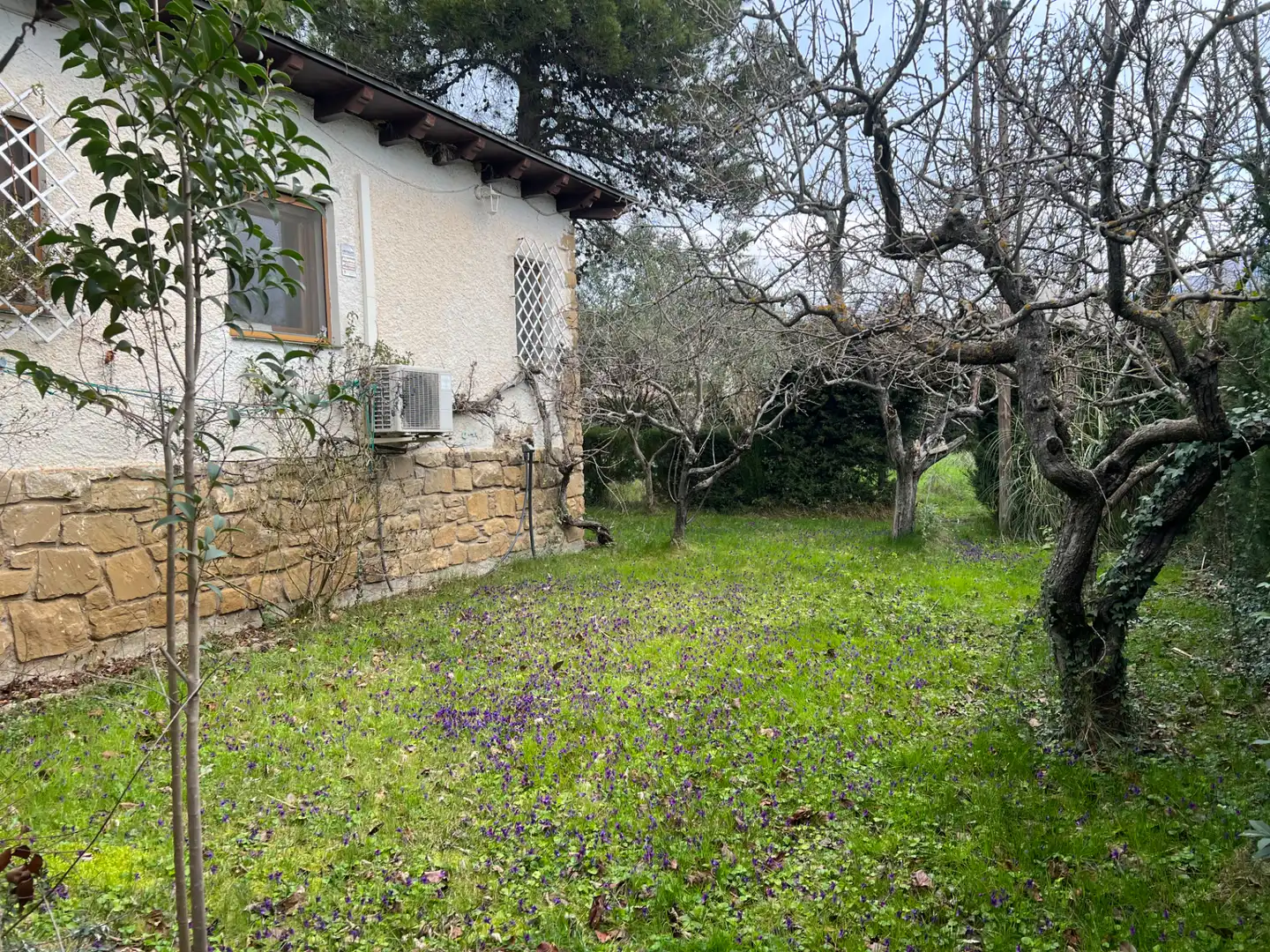 Jardín de Casa o chalet en venta en Murillo de Gállego