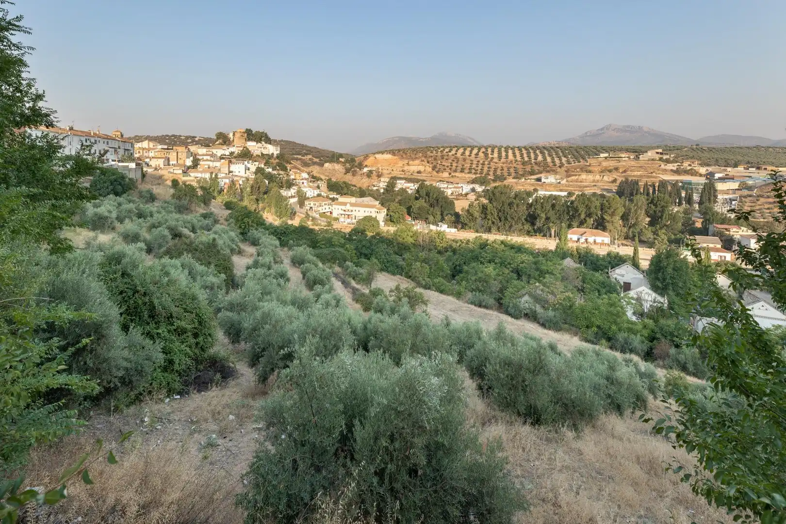 Exterior view of Residential for sale in Iznalloz