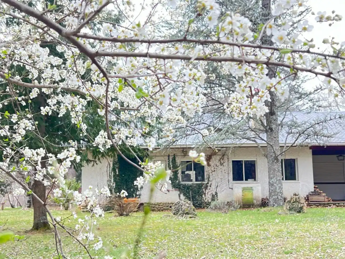 Jardí de Finca rústica en venda en Rascafría, Madrid