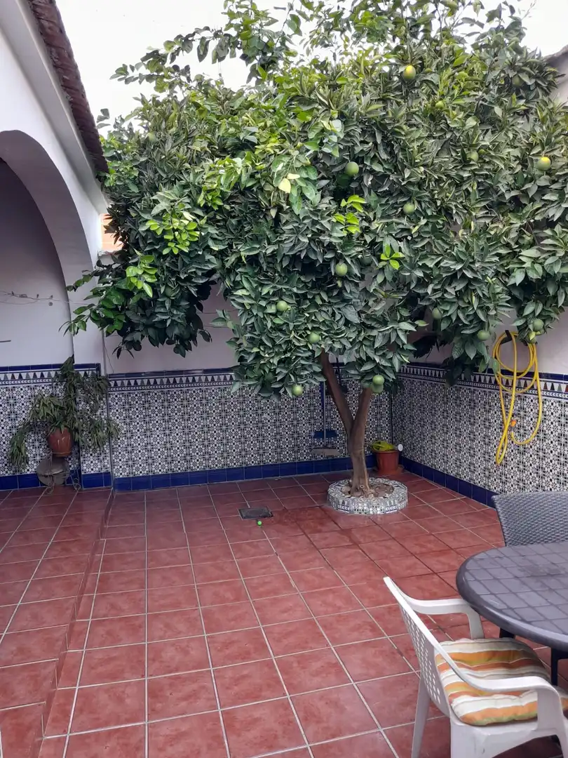 CASA EN VENTA DE BOVEDAS CON TEJADO NUEVO, imatge 2