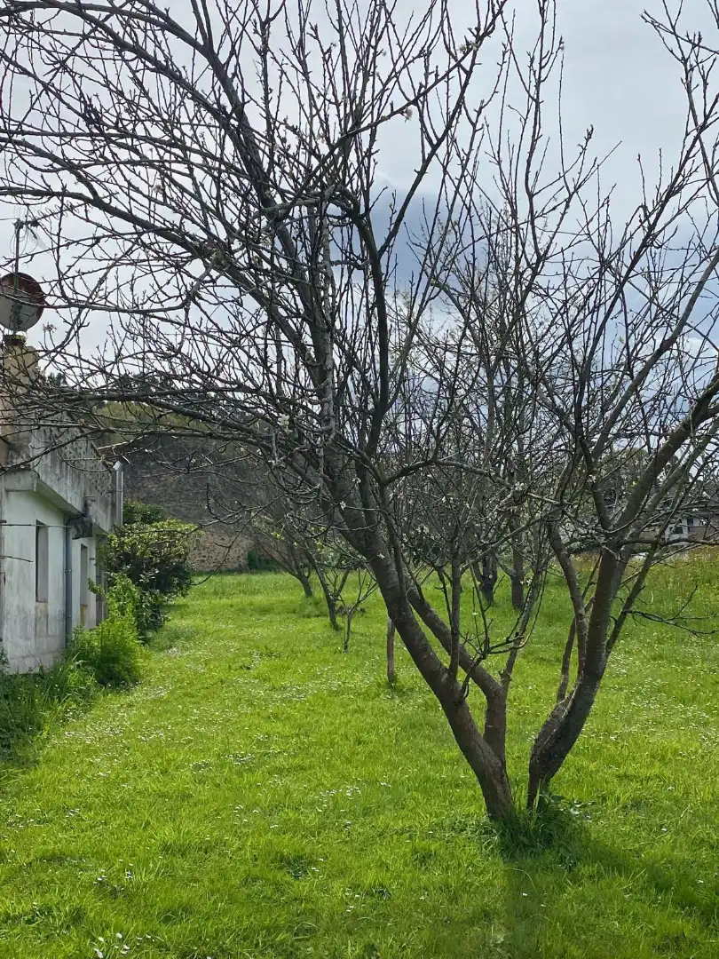 Houses for sale in Limpias  with Heating, Private garden and Terrace