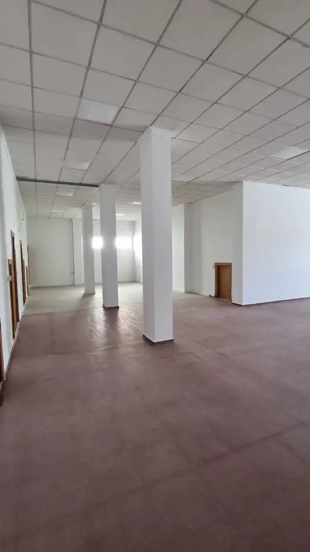 Business premises to rent in Avenida Alcalde Carlos Carbonell 9 - Bajo, imagen 4