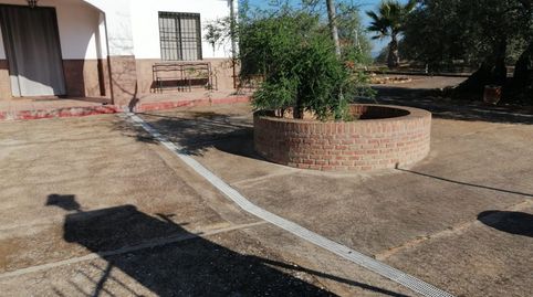 CASA CON TERRENO EN MONTORO!, imatge 3