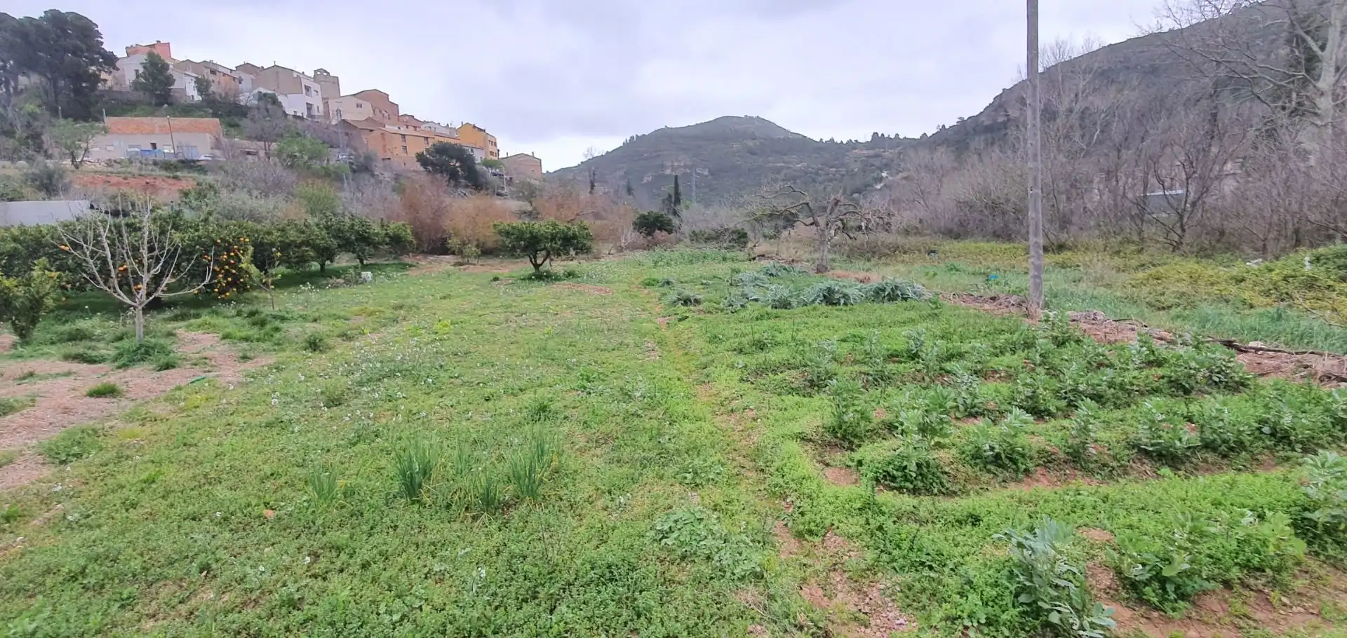Casa o xalet en venda en Alfara de Carles