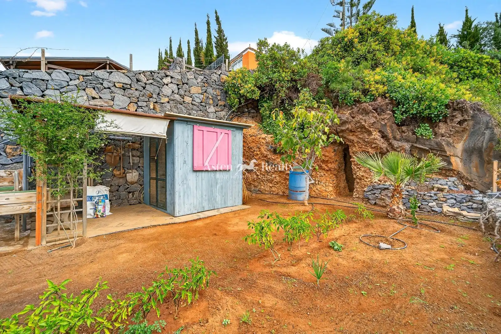 Jardí de Casa o xalet en venda en Guía de Isora amb Aire condicionat, Terrassa i Moblat
