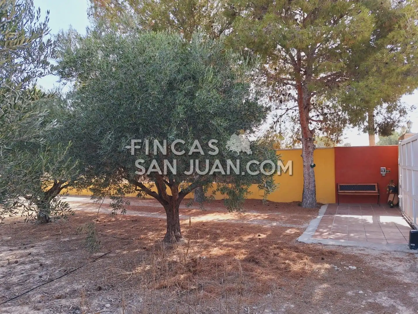 Casa o xalet en venda en Alicante / Alacant amb Terrassa i Piscina