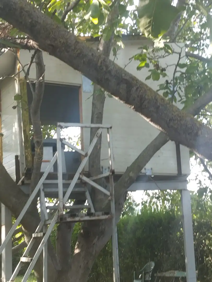 Terreni e lotti in vendita a La Portalada - Varea, imagen 6