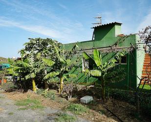 Außenansicht von Country house zum verkauf in Santa María de Guía de Gran Canaria mit Privatgarten und Terrasse