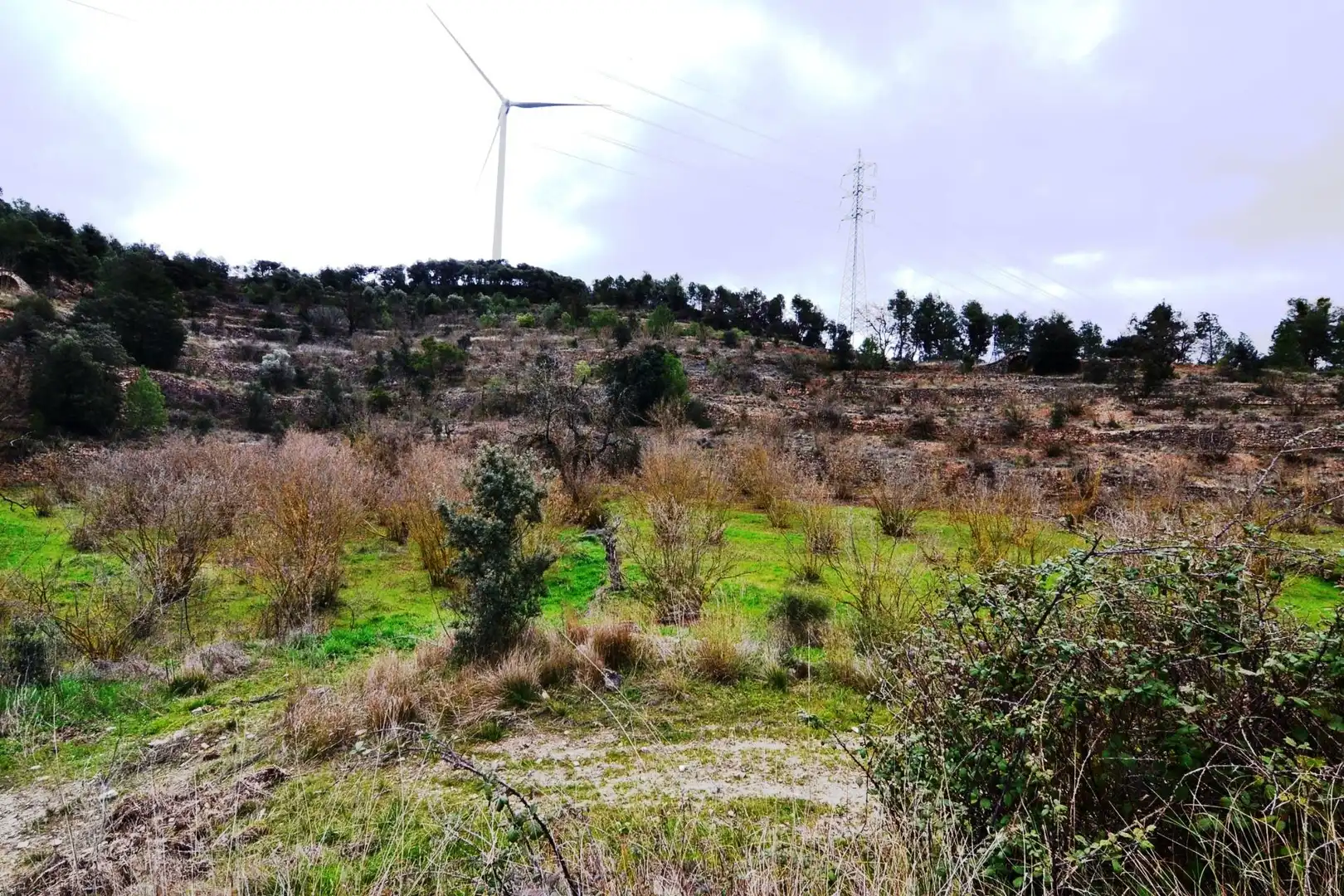Terreno en venta en Vilalba dels Arcs
