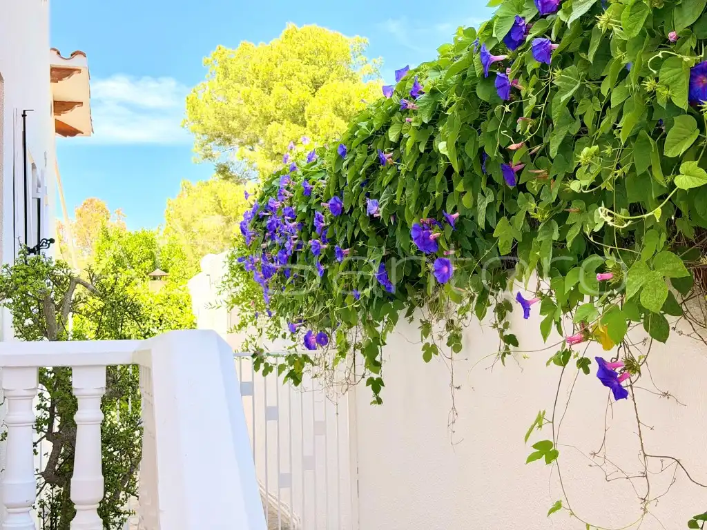 Jardí de Casa o xalet en venda en Sant Pere de Ribes