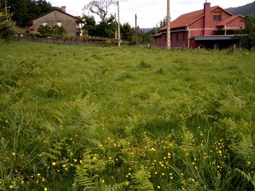 Wohnbaugrundstück zum Verkauf in A Paredes