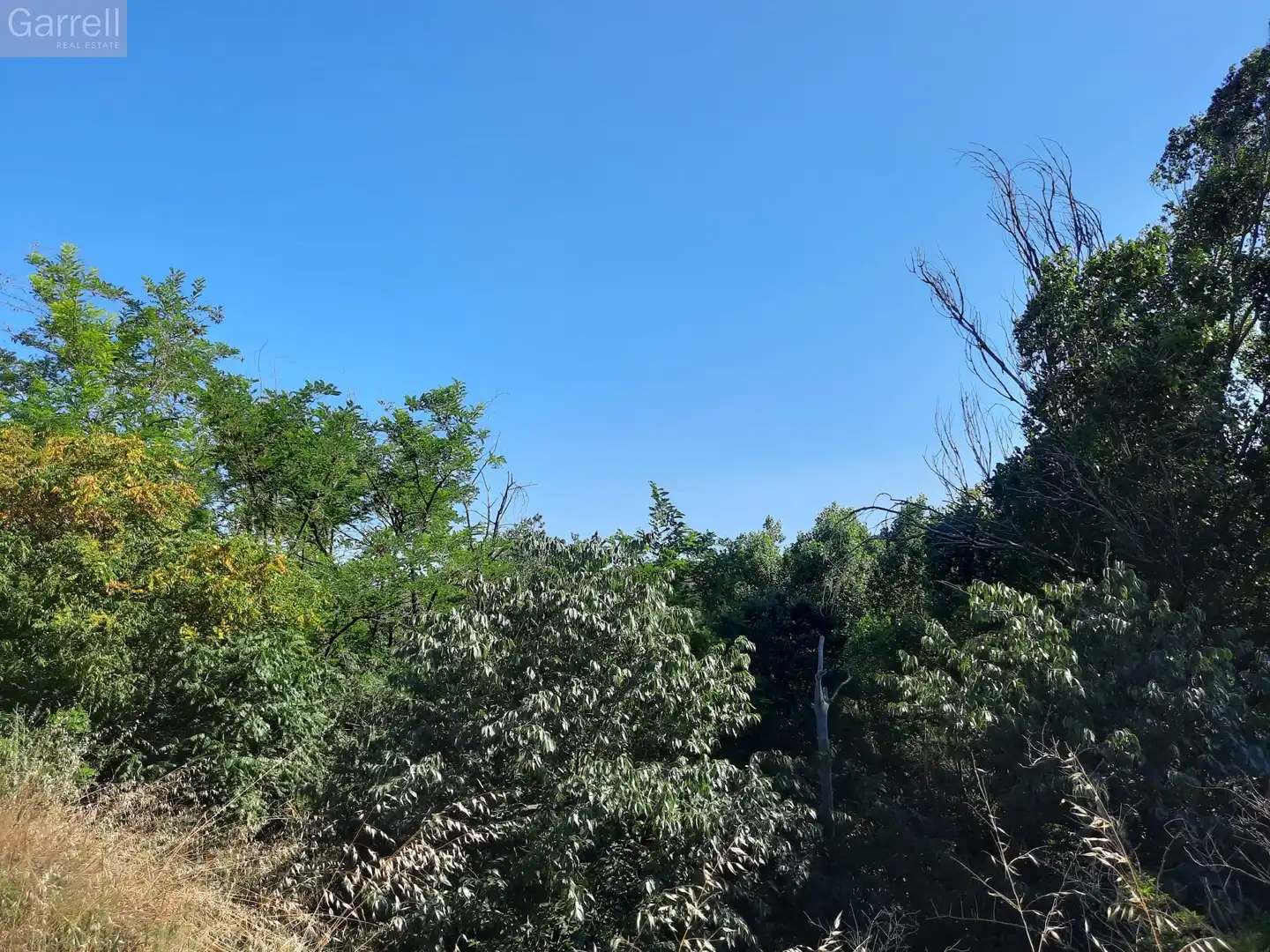 Lands and plots for sale in DS CAN BOSC Polígono  Parcela 
CAN BOSCH.  LLIÇA D'AMUNT (BARCELONA), imagen 7
