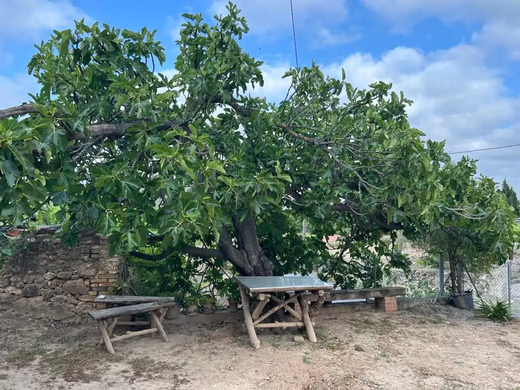 Jardí de Pis en venda en Viver