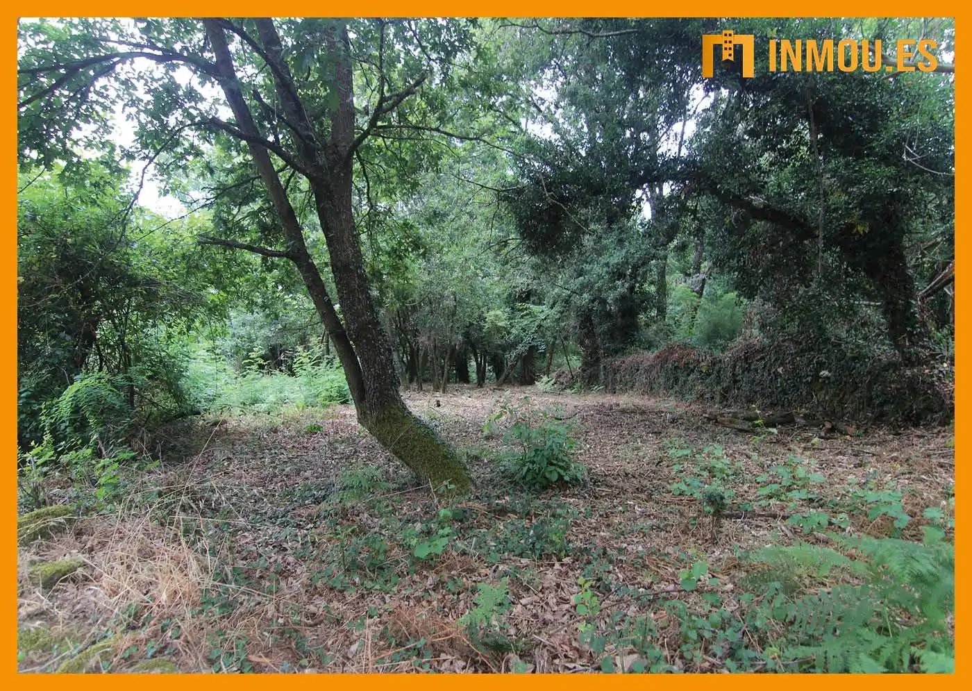 Finca rústica en venta en A Bola 
