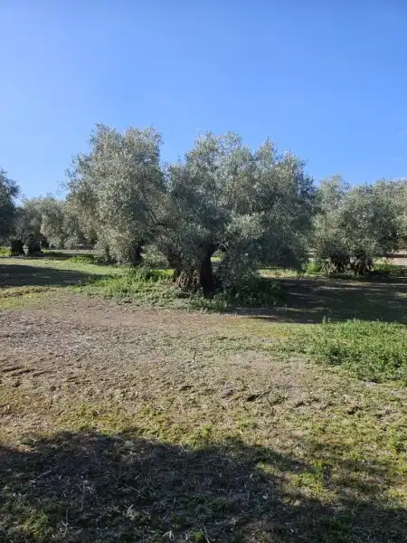 Residencial en venda en Navas del Sepillar
