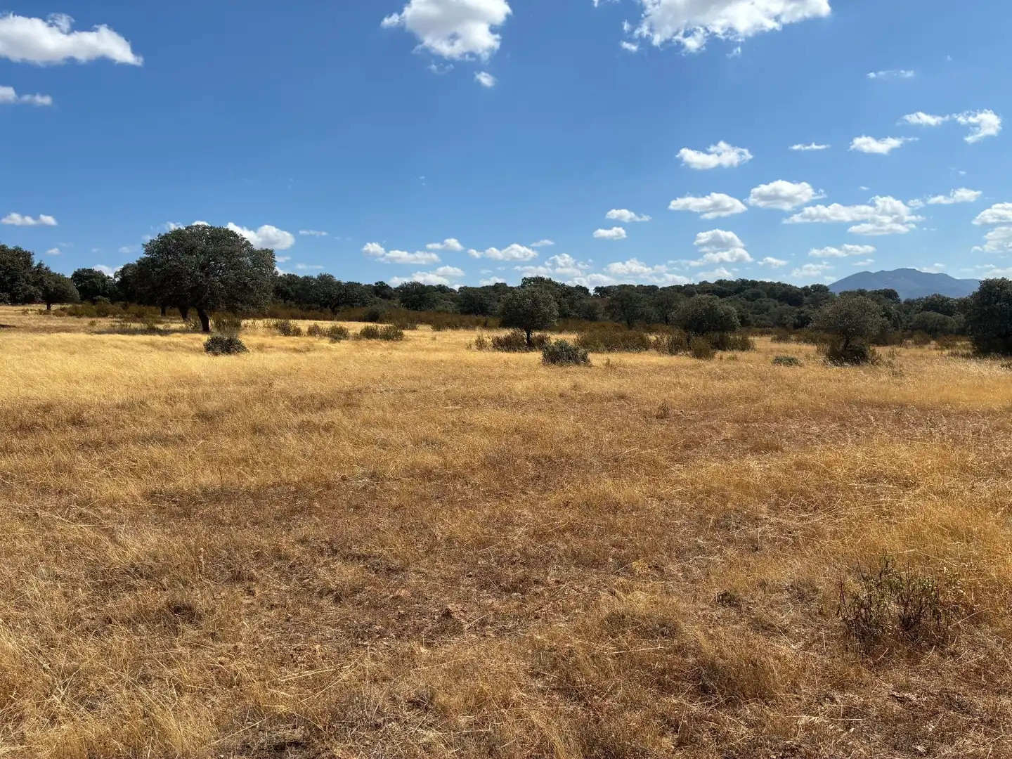 Terreno rustico in vendita a Mohedas de la Jara, imagen 14