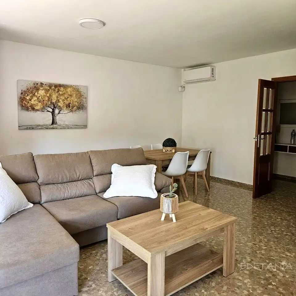 Sala d'estar de Pis de lloguer en Moncada amb Aire condicionat, Terrassa i Moblat