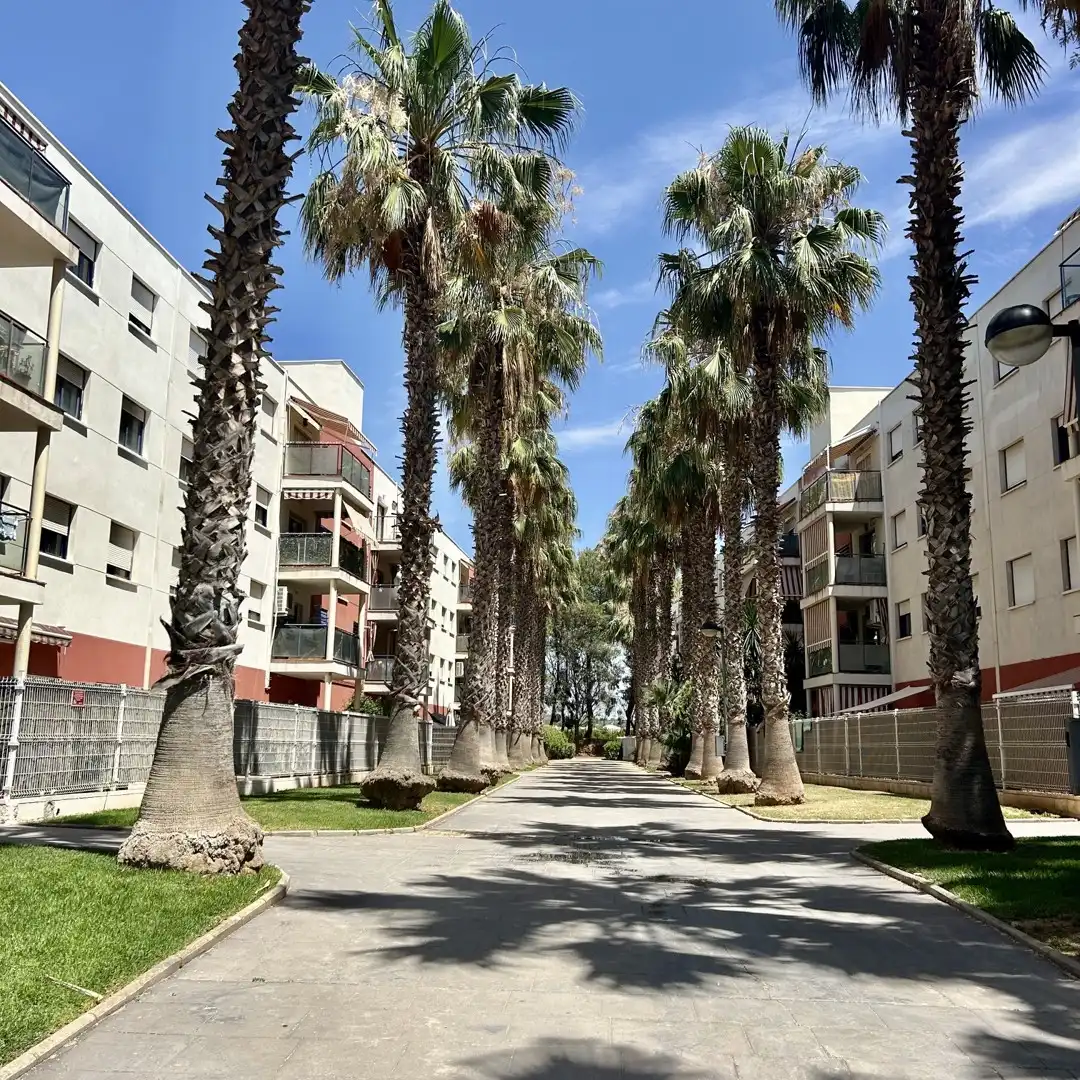 Vista exterior de Piso de alquiler en Riba-roja de Túria con Terraza, Trastero y Piscina