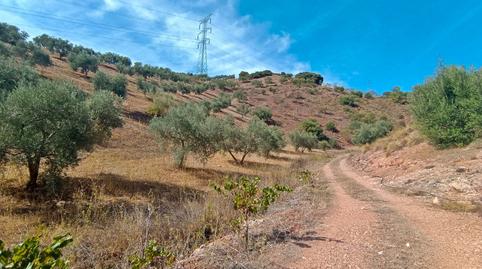 Photo 4 of House or chalet for sale in El Burgo, Málaga