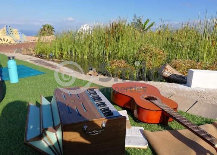 Jardí de Casa o xalet en venda en Guía de Isora amb Jardí privat, Terrassa i Piscina