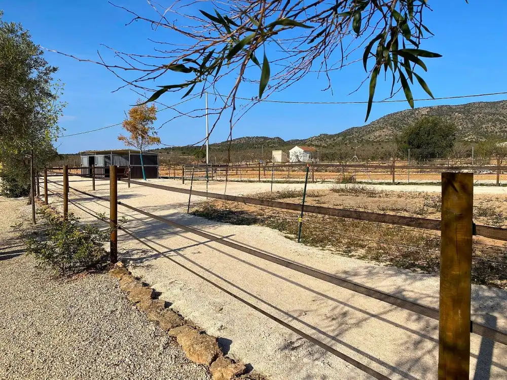 Casa o chalet en venta en El Pinós / Pinoso