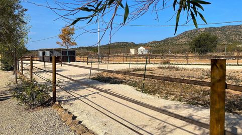 Foto 5 de Casa o chalet en venta en N/a, -1, El Pinós / Pinoso, Alicante