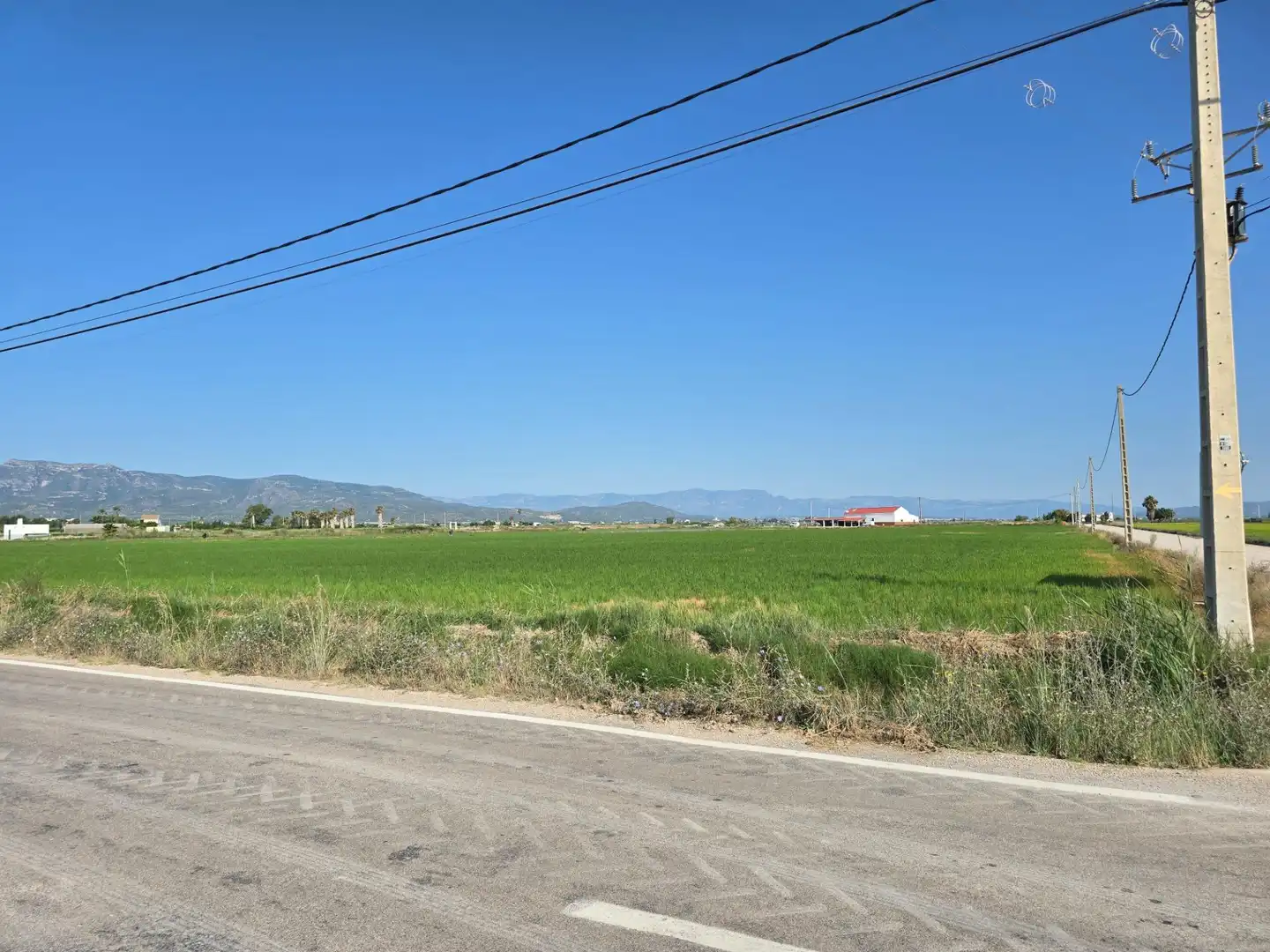 Terrain rustique à vendre à Eucaliptus- Poble Nou del Delta, imagen 4