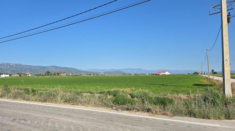 FINCA DE ARROZ EN LENCANYISSADA, imatge 4