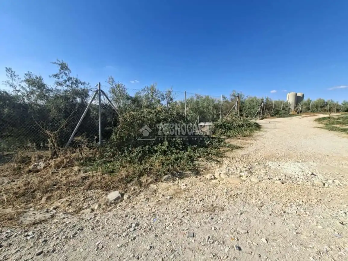Terreno en venta en Montilla