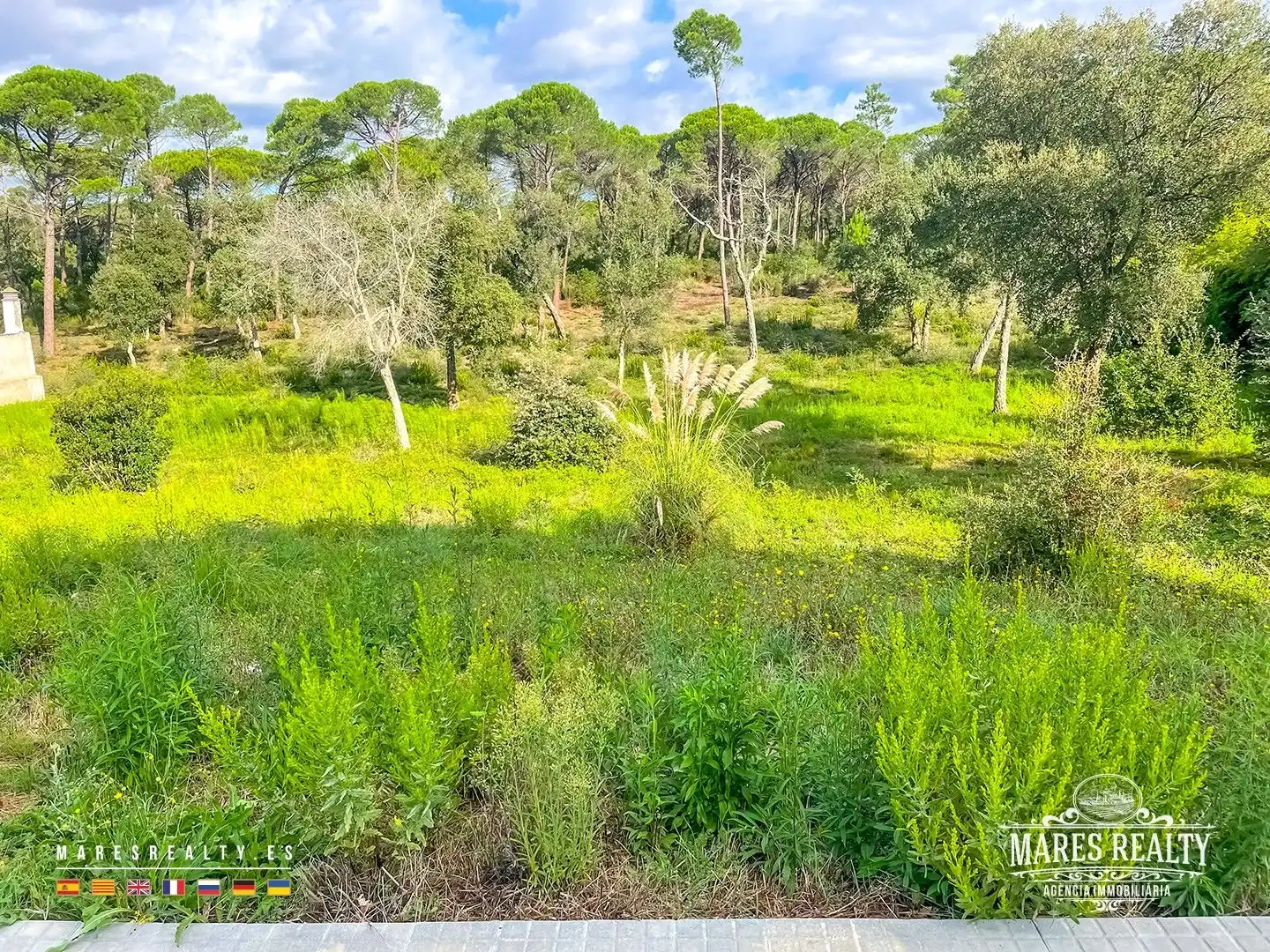 Terrenos y solares en venta en Sils, imagen 3