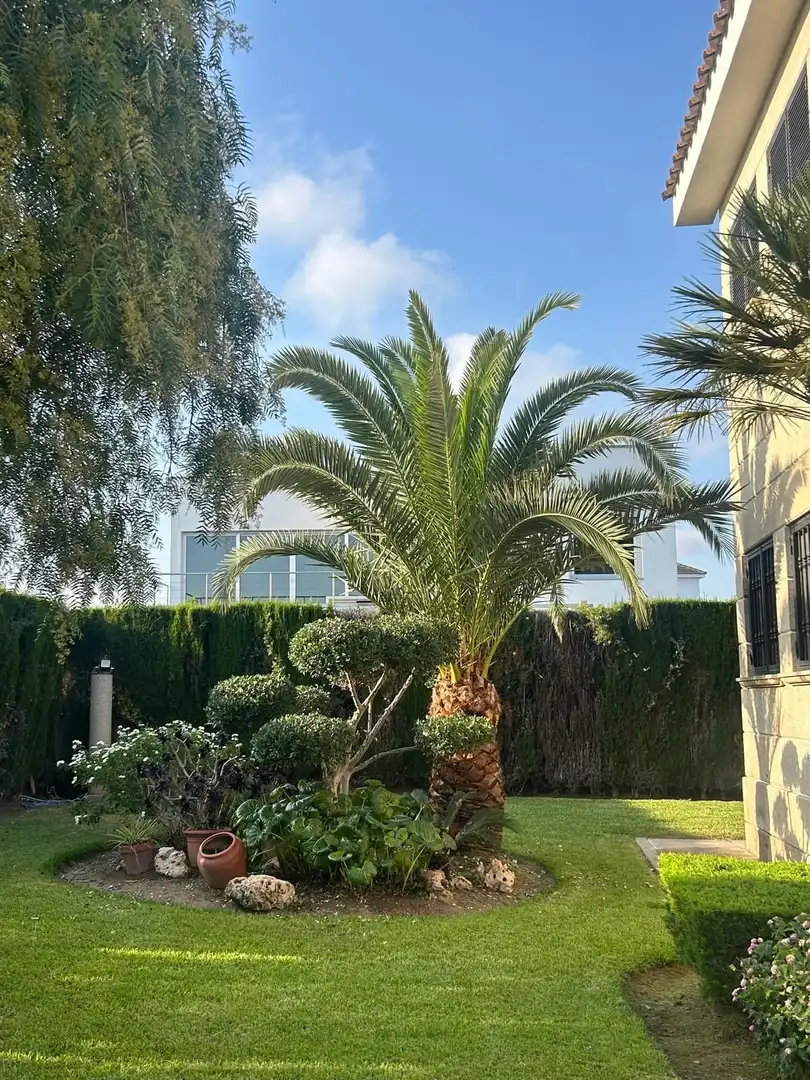 Villa avec piscine à vendre à JOAN PI I MARGALL, imagen 41