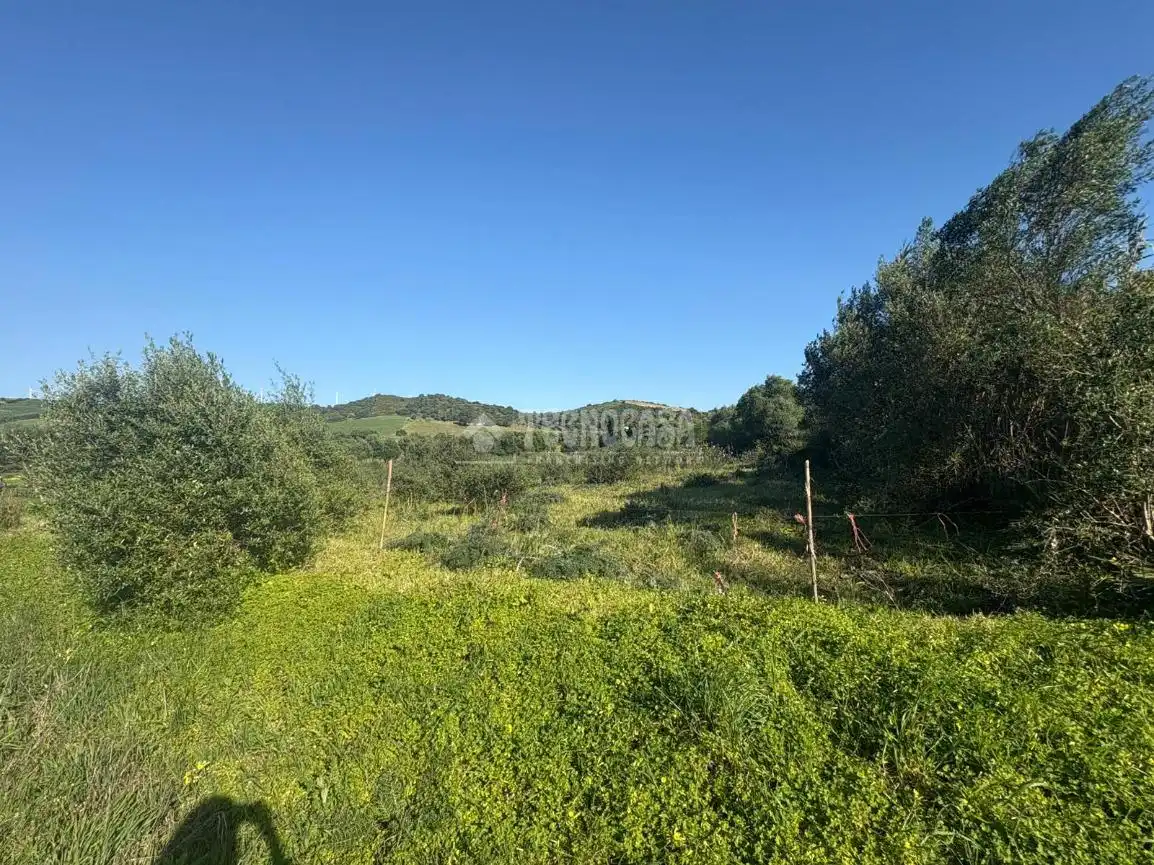 Terreno rustico in vendita a Barbate ciudad, imagen 12